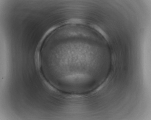 X0000114421123200910231201
