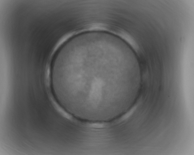 X0000114421126200910231201