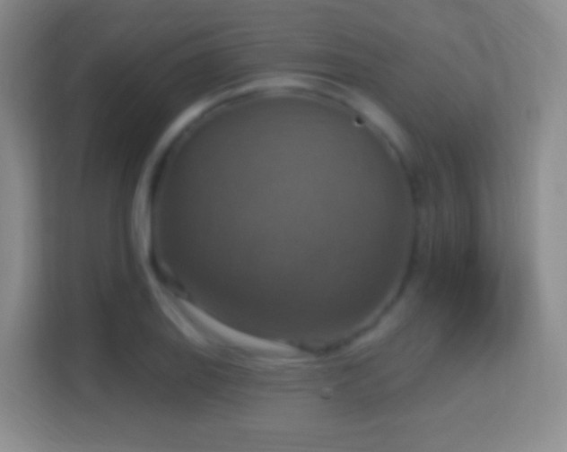 X0000114421127200910231201