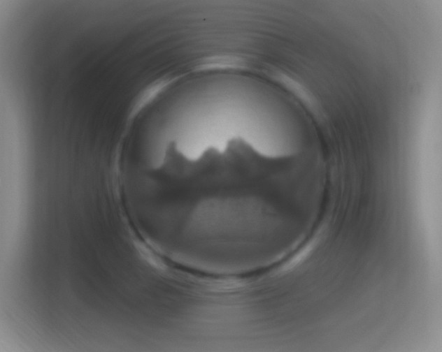 X0000114421129200910231201