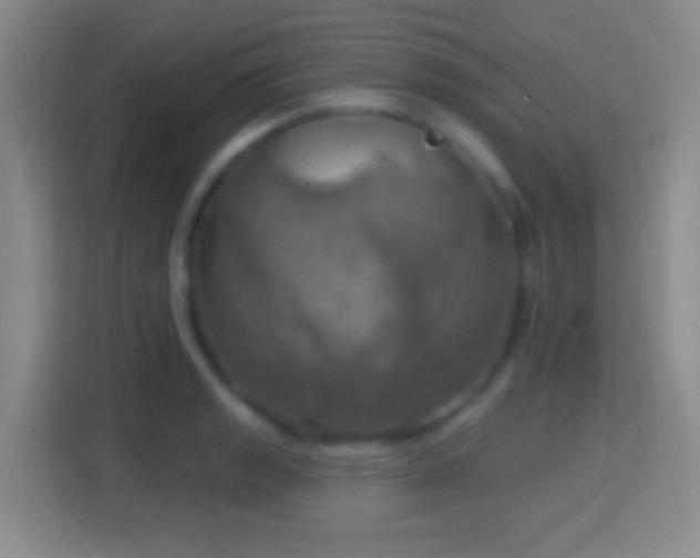 X0000114421133200910231201