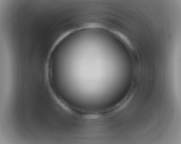 X0000114421134200910231201