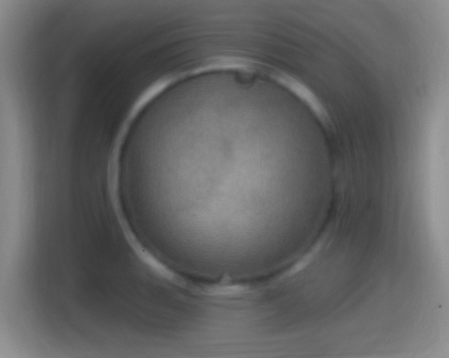 X0000114421135200910231201