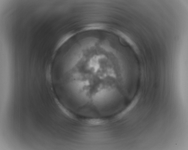 X0000114421137200910231201