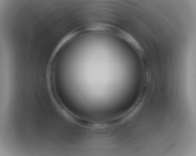 X0000114421138200910231201