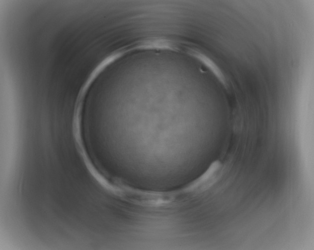 X0000114421139200910231201