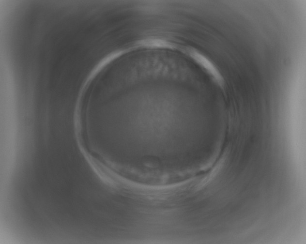 X0000114421141200910231201