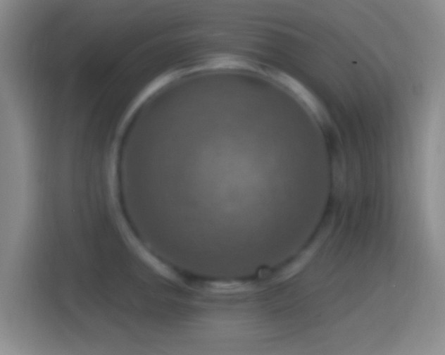 X0000114421142200910231201