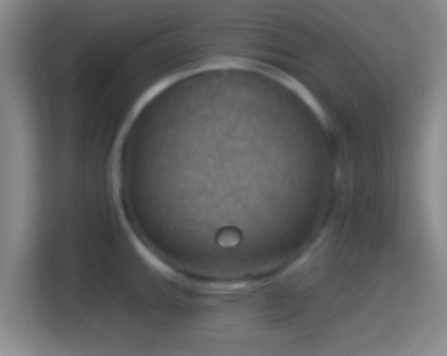 X0000114421143200910231201