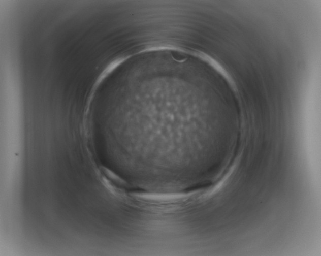 X0000114421145200910231201