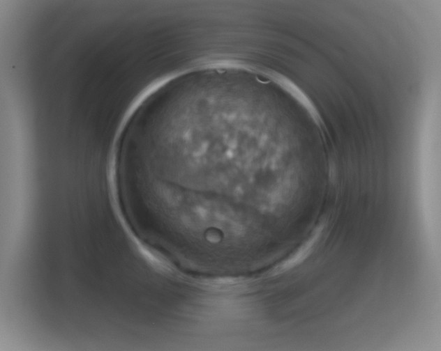 X0000114421149200910231201