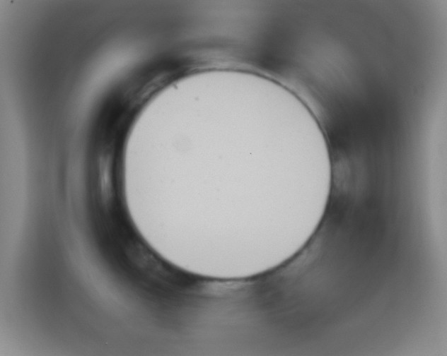 X0000114421150200910231201