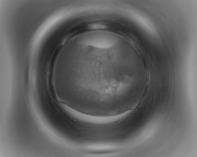 X0000114421151200910231201
