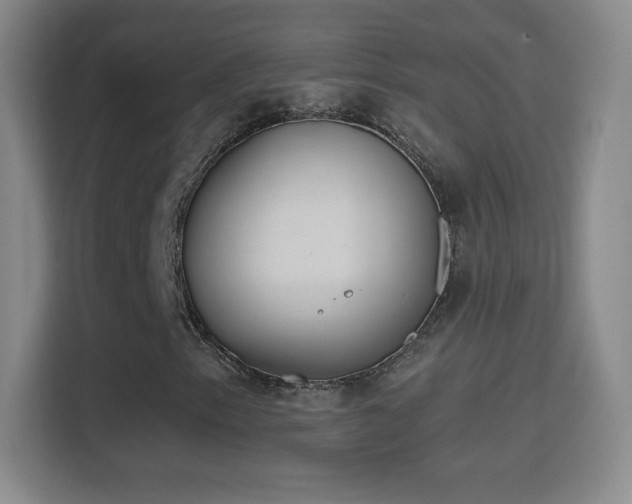 X0000114421153200910231200