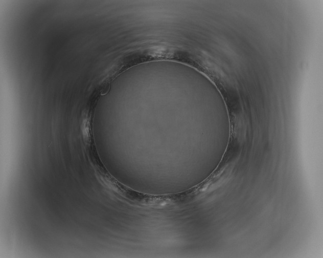 X0000114421154200910231200