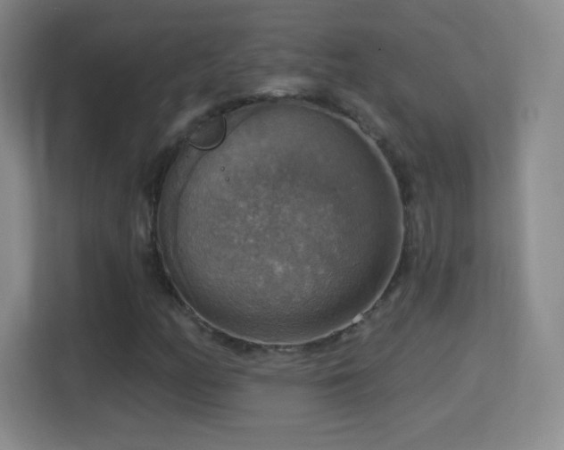 X0000114421158200910231200