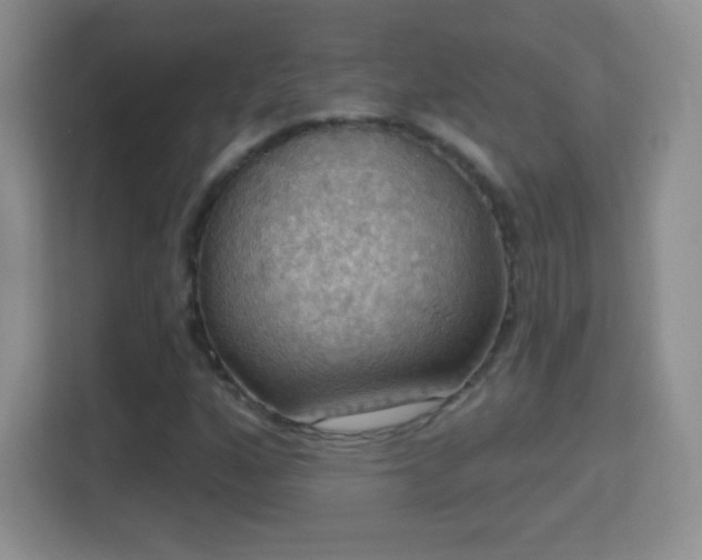 X0000114421160200910231200
