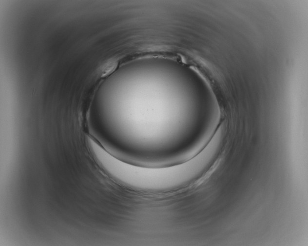 X0000114421161200910231200