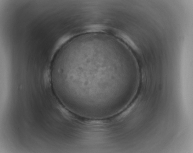 X0000114421164200910231200