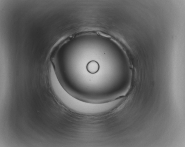 X0000114421165200910231200