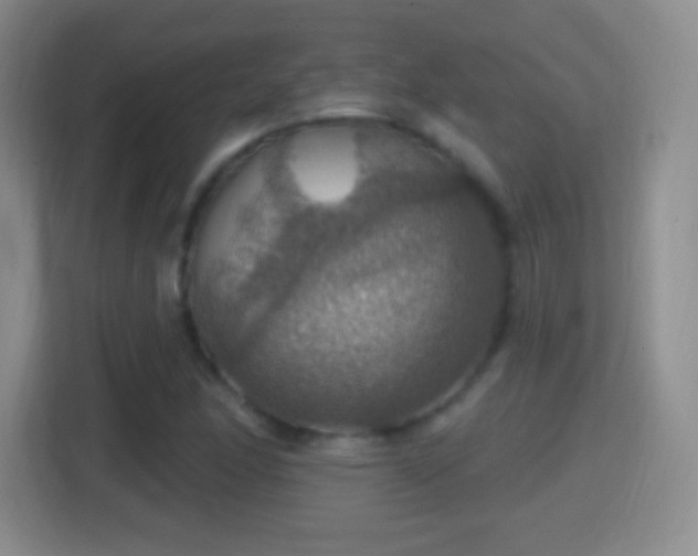 X0000114421166200910231200