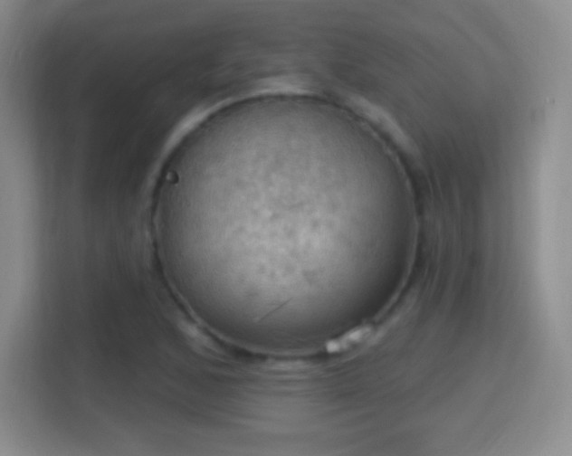 X0000114421168200910231200