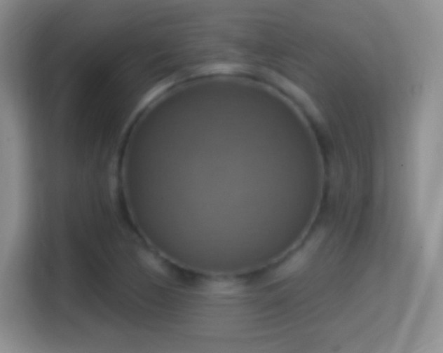 X0000114421170200910231200
