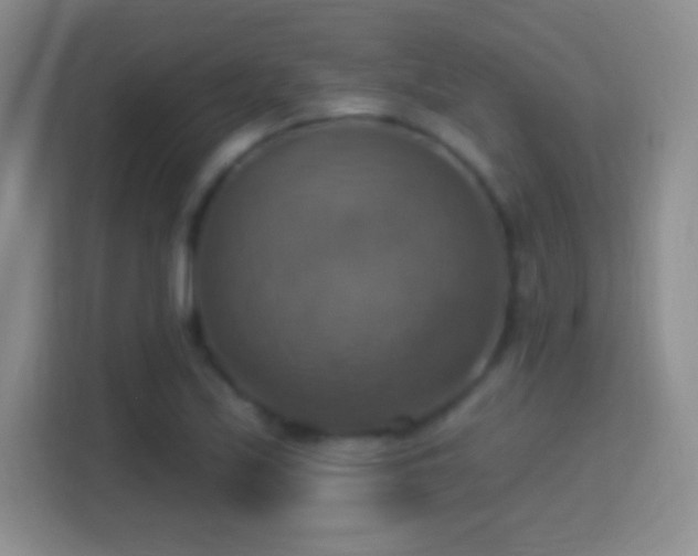 X0000114421171200910231200