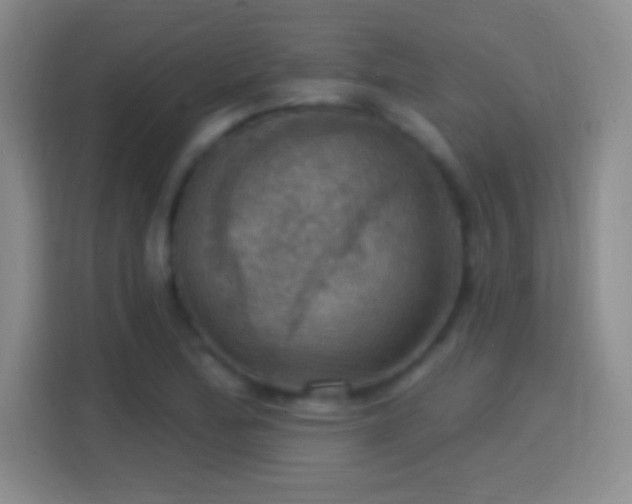 X0000114421172200910231200