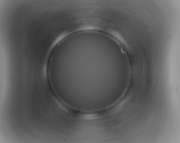 X0000114421173200910231200