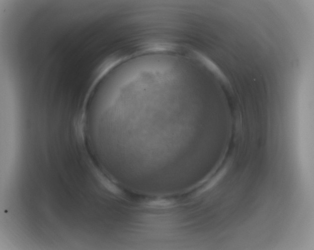 X0000114421178200910231200