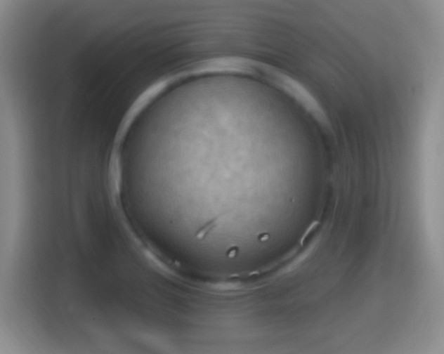 X0000114421180200910231200