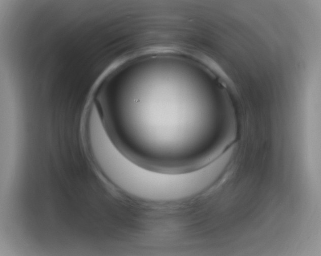 X0000114421181200910231200