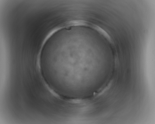 X0000114421182200910231200