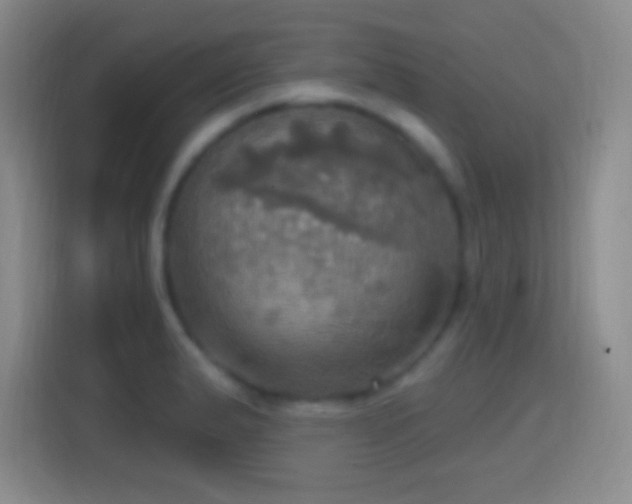 X0000114421183200910231200