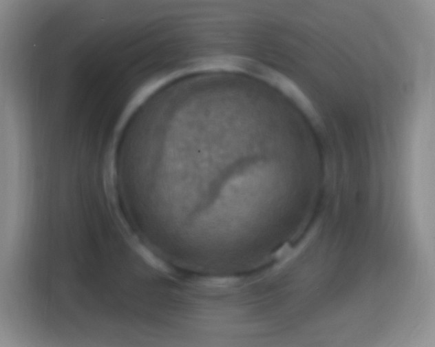 X0000114421184200910231200