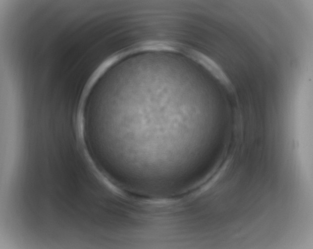 X0000114421188200910231200