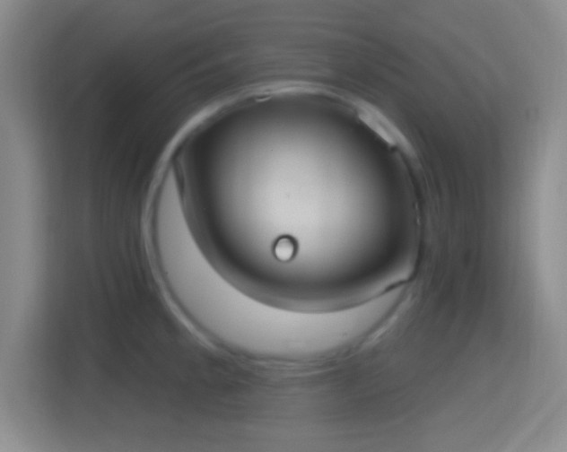 X0000114421189200910231200