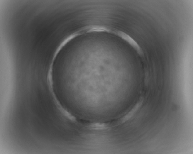 X0000114421190200910231200