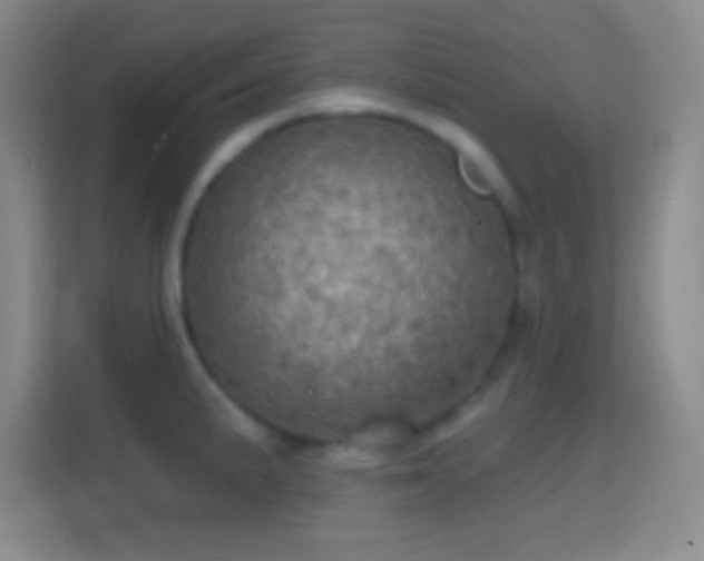 X0000114421191200910231200