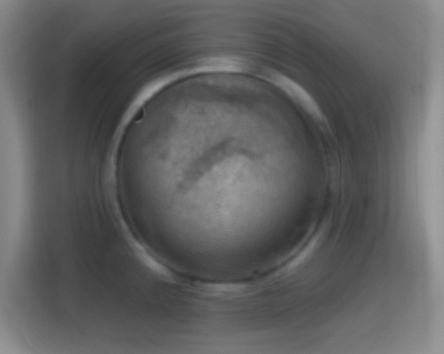X0000114421192200910231200