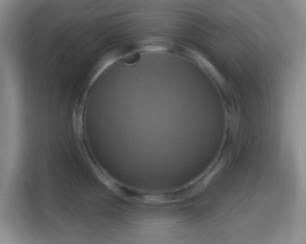 X0000114421194200910231200