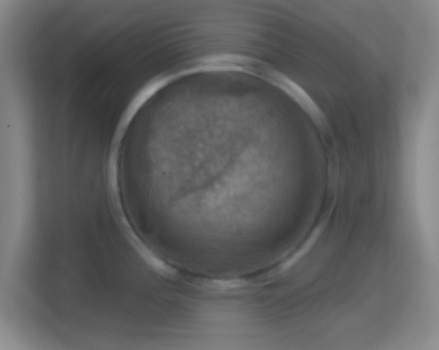 X0000114421196200910231200