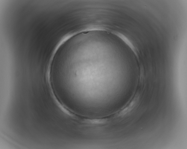 X0000114421197200910231200