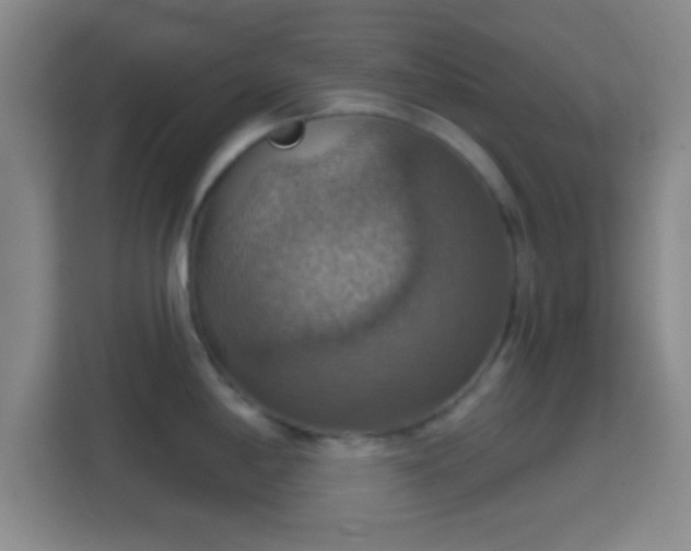 X0000114421198200910231200