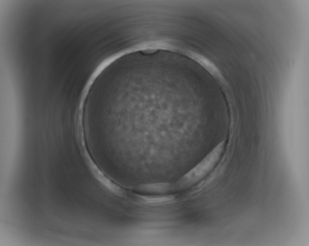 X0000114421200200910231200
