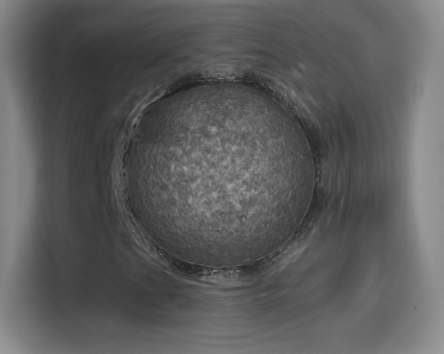 X0000114421201200910231159