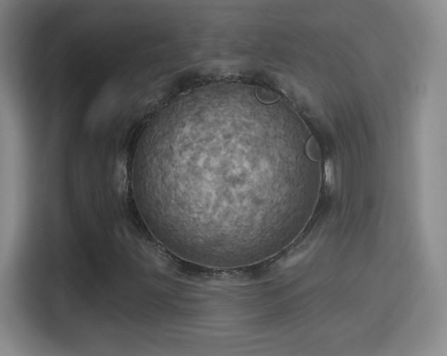 X0000114421203200910231159