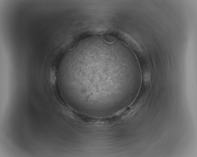 X0000114421204200910231159
