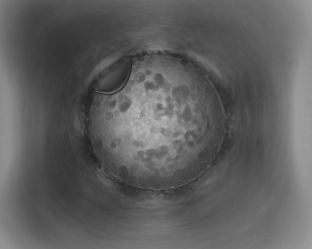 X0000114421207200910231159